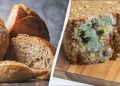 Почему хлеб плесневеет и можно ли срезать плесень и съесть остальное: советы врача