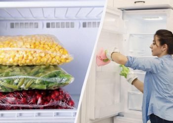 Назван список из 12 продуктов, которые можно замораживать: вы точно не знали этого