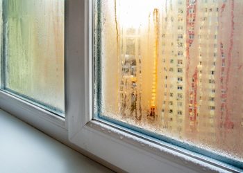 Чем натереть окна, чтобы они больше не потели: простая хитрость