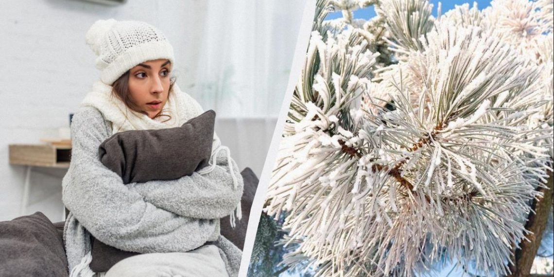 Как согреться в холодной квартире: 8 способов, которые действительно работают