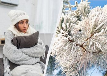 Как согреться в холодной квартире: 8 способов, которые действительно работают