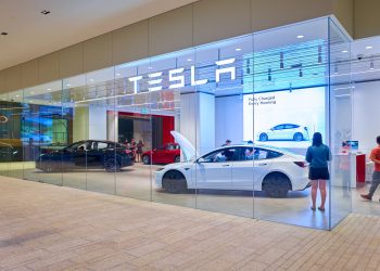 Продажі Tesla падають другий рік поспіль, BYD — світовий лідер ринку електромобілів
